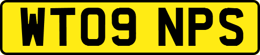 WT09NPS