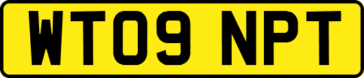 WT09NPT