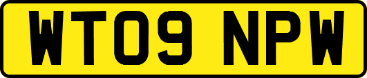 WT09NPW