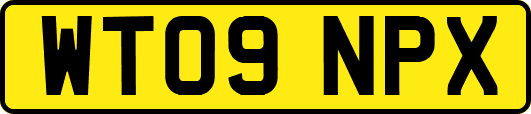 WT09NPX