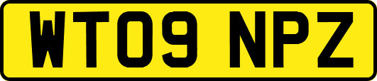 WT09NPZ