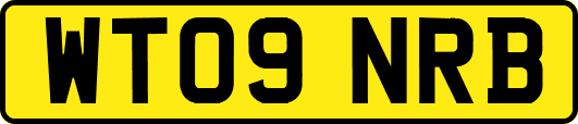 WT09NRB