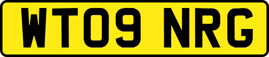 WT09NRG