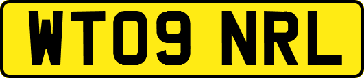 WT09NRL