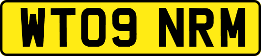 WT09NRM