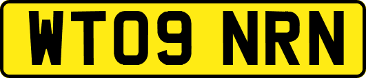 WT09NRN