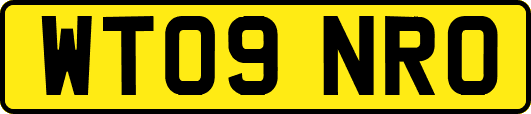 WT09NRO