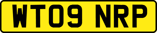 WT09NRP