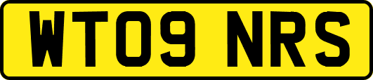 WT09NRS
