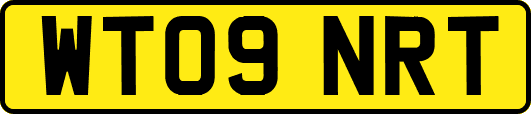 WT09NRT