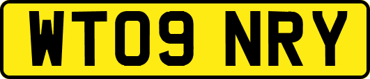 WT09NRY