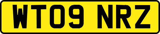 WT09NRZ