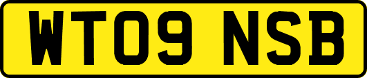 WT09NSB