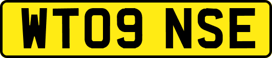 WT09NSE