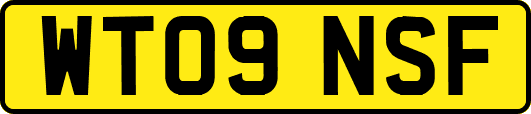 WT09NSF