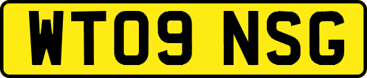 WT09NSG