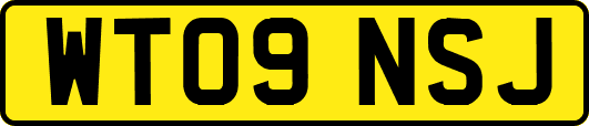 WT09NSJ