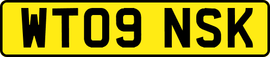 WT09NSK