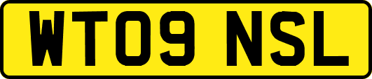 WT09NSL