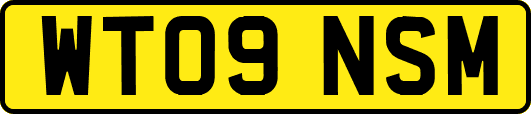 WT09NSM
