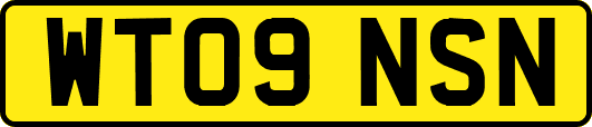 WT09NSN