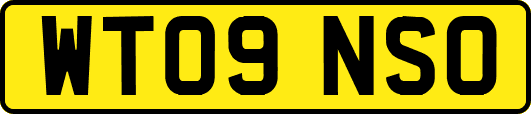WT09NSO