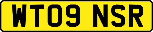 WT09NSR