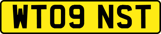 WT09NST