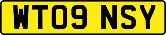 WT09NSY