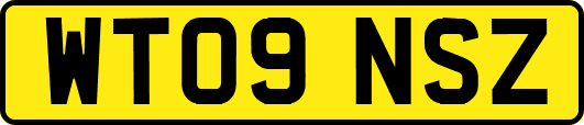 WT09NSZ