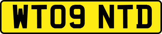 WT09NTD