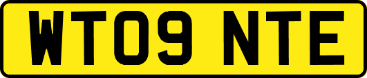 WT09NTE