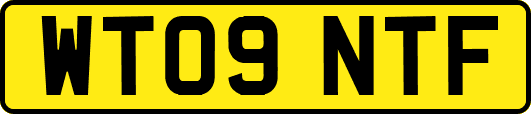WT09NTF