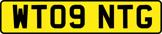 WT09NTG
