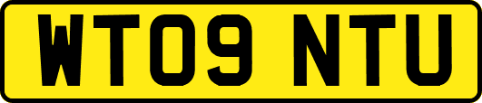 WT09NTU