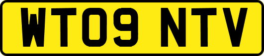 WT09NTV