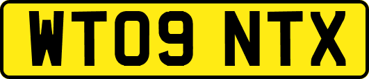 WT09NTX