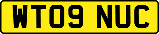 WT09NUC
