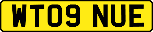 WT09NUE
