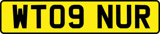 WT09NUR