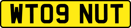 WT09NUT