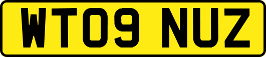 WT09NUZ