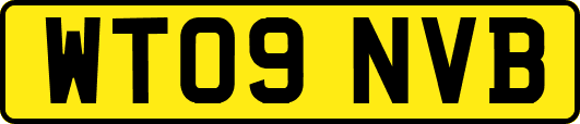 WT09NVB