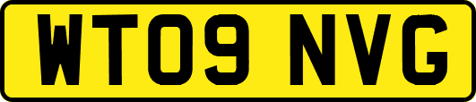WT09NVG