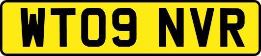 WT09NVR