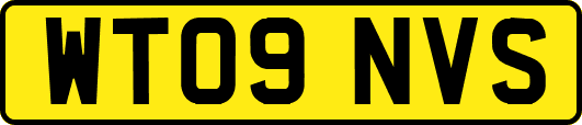 WT09NVS