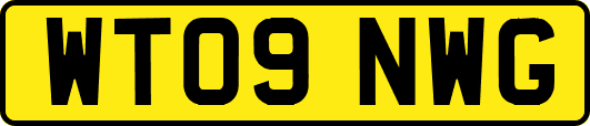 WT09NWG