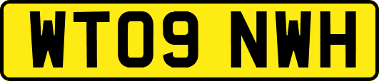 WT09NWH