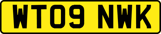 WT09NWK
