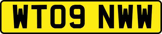 WT09NWW